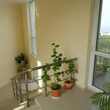 Paradise 3* Zlate písky